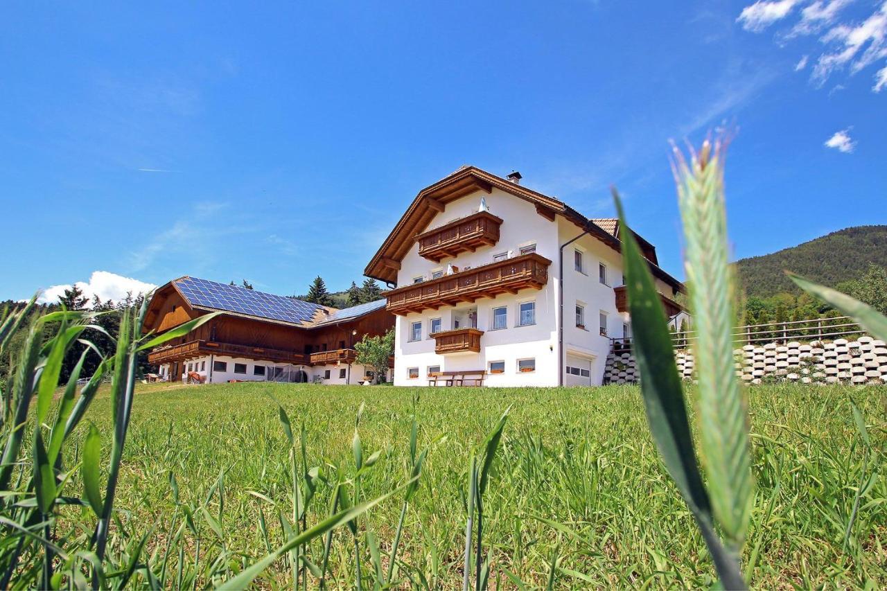 Niederhaeusererhof 法尔泽斯 外观 照片